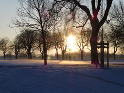 Photo10